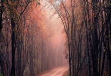 21-22賽季意甲聯賽第37輪比賽集錦.