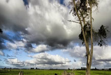 开云网址:NBA黄金看点尽在CCTV5.