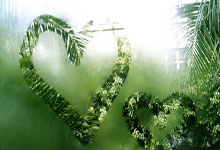 WCBA東莞新彤盛:外援助陣年輕隊員扛起重任.