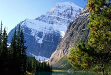 正式复出!北京首钢王牌后卫满血归来,许利民终于盼来了主心骨.