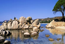 中经评论:在希望的田野上向新而行.